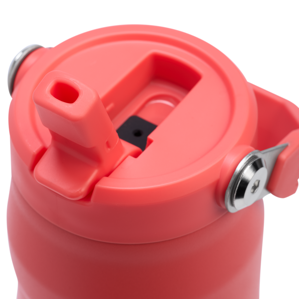 Stanley The IceFlow™ Bottle with Flip Straw Lid | 24 OZ