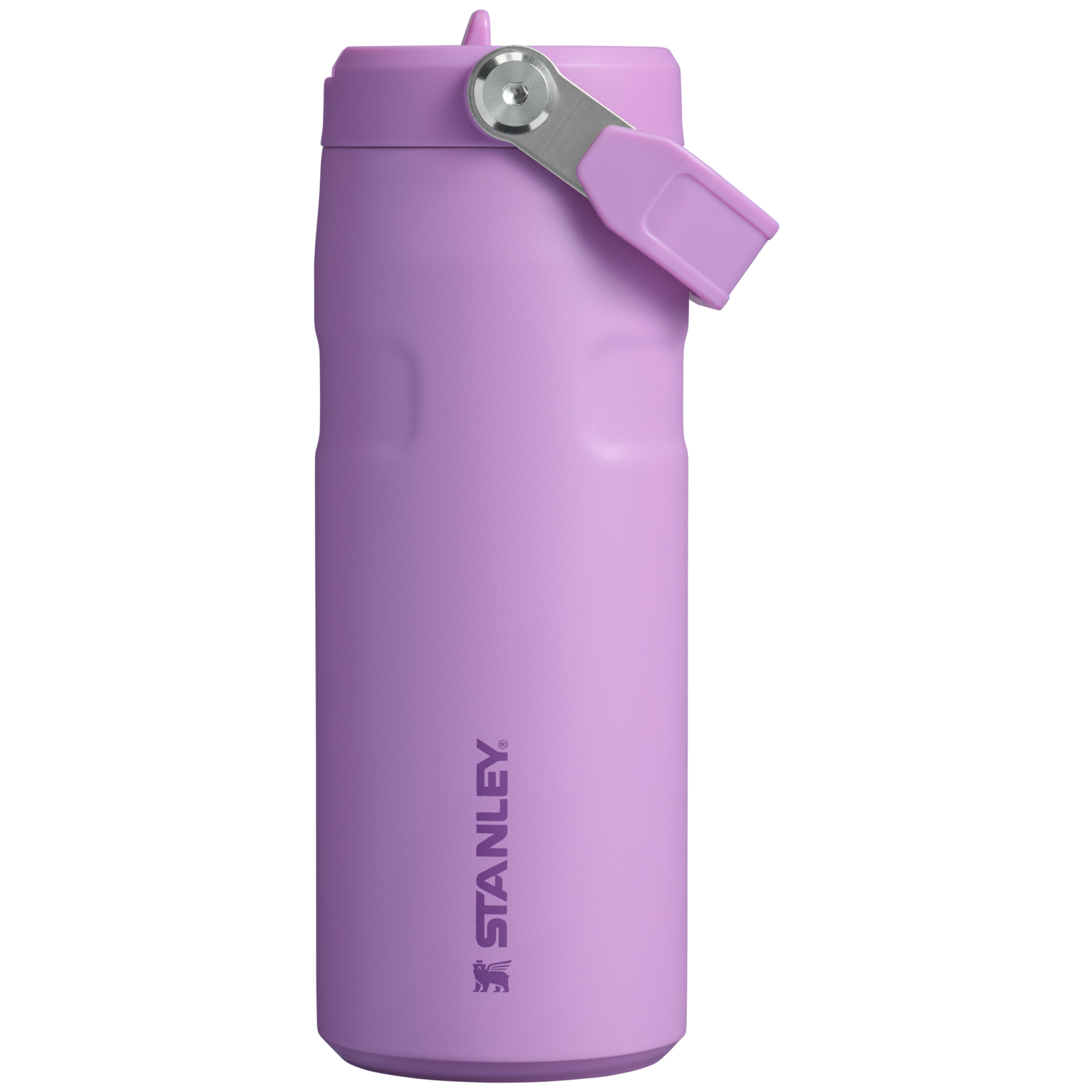 Stanley The IceFlow™ Bottle with Flip Straw Lid | 16 oz