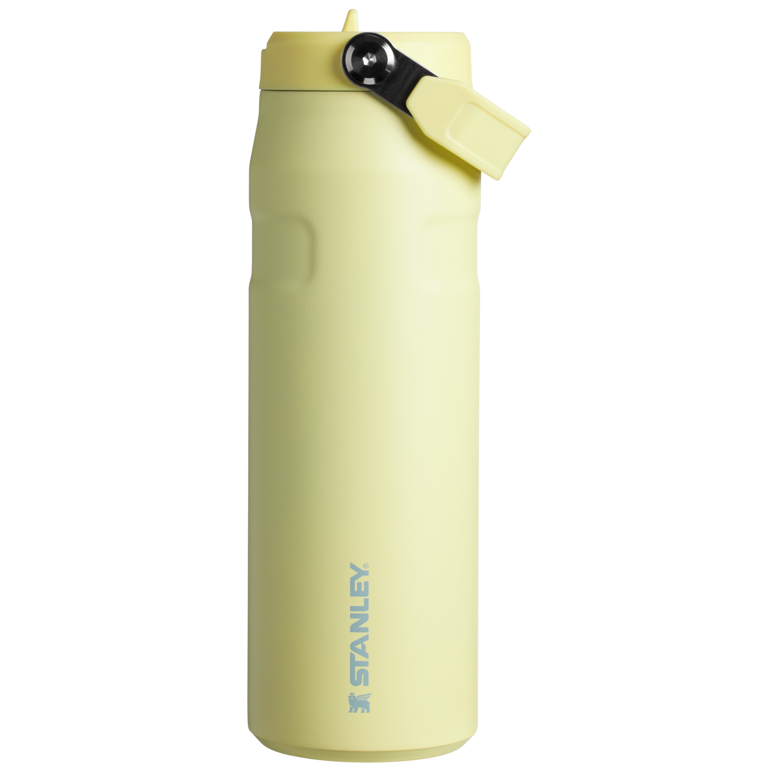 Stanley The IceFlow™ Bottle with Flip Straw Lid | 24 OZ