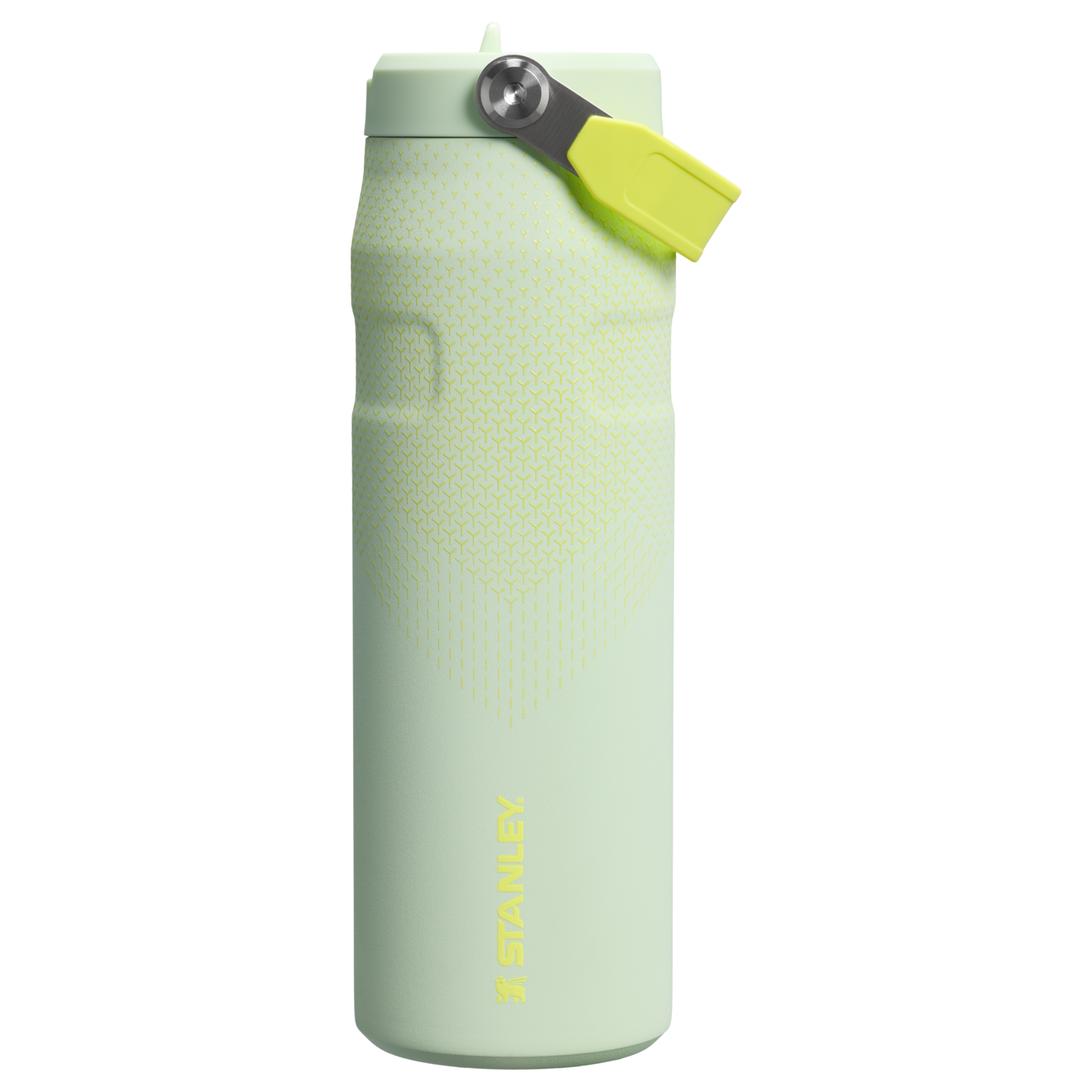 Stanley The IceFlow™ Bottle with Flip Straw Lid | 24 OZ